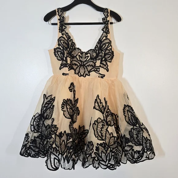 NWT Anthropologie Maeve Sleeveless V-Neck Lace Fit N Flare Mini Dress 8 NWT Anthropologie Maeve Sleeveless V-Neck Lace Fit N Flare Mini Dress 8